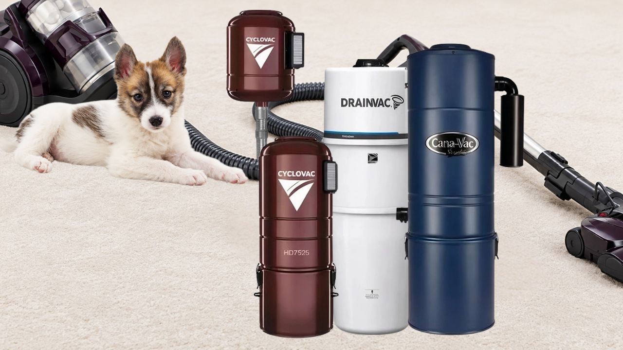 best central vacuum system for pet hair